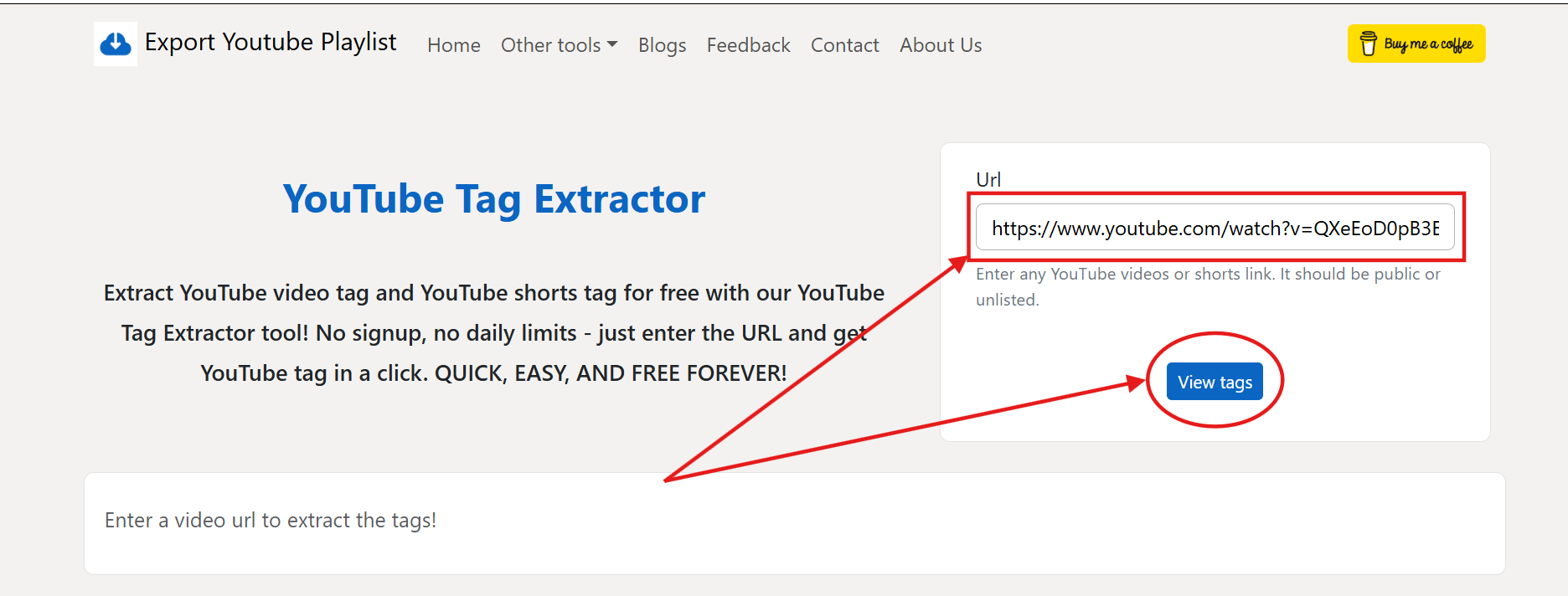 Screenshot showing the YouTube Tag Extractor with a video URL pasted in the input field and the View Tags button clicked